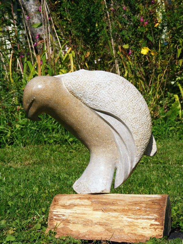 Vogel 1