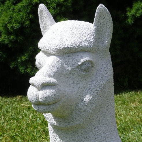 Alpaca