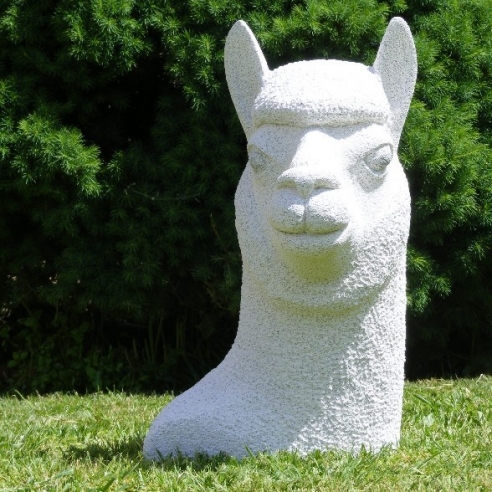 Alpaca