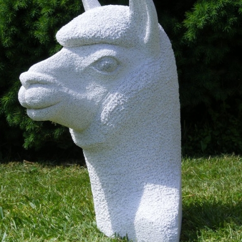 Alpaca